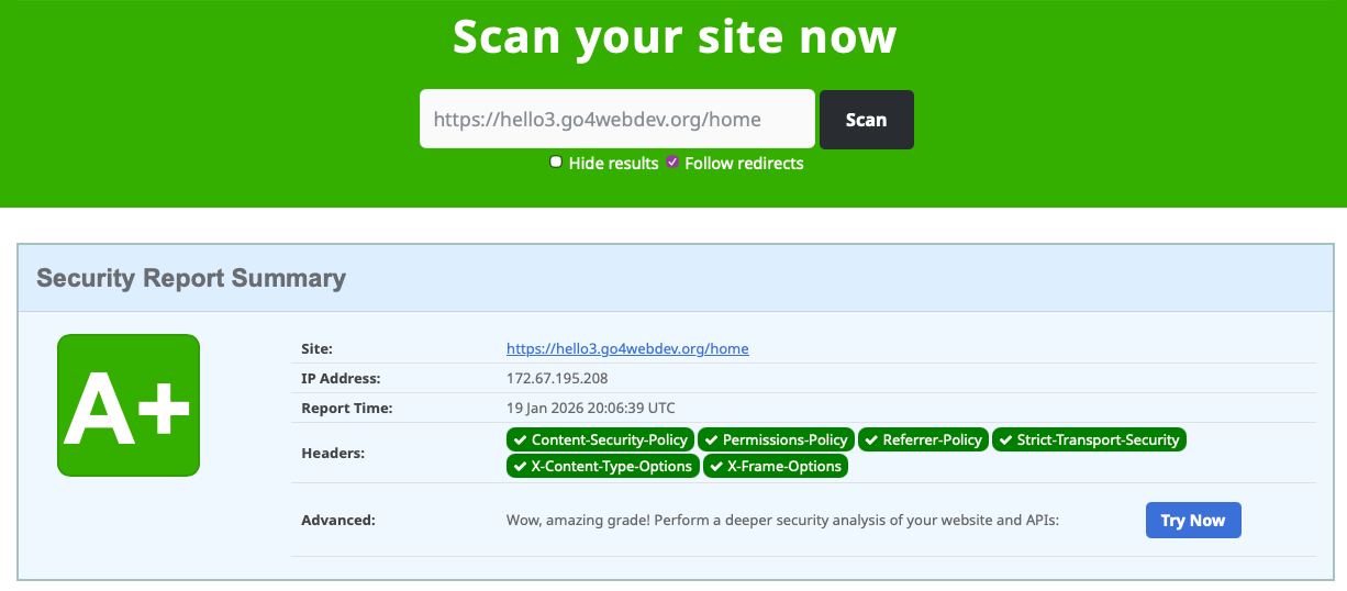 Check Security Headers