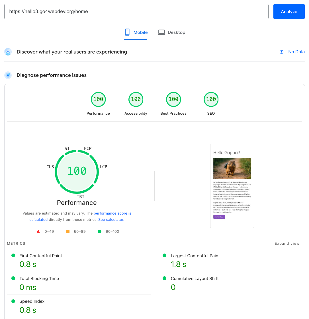 PageSpeed Insights
